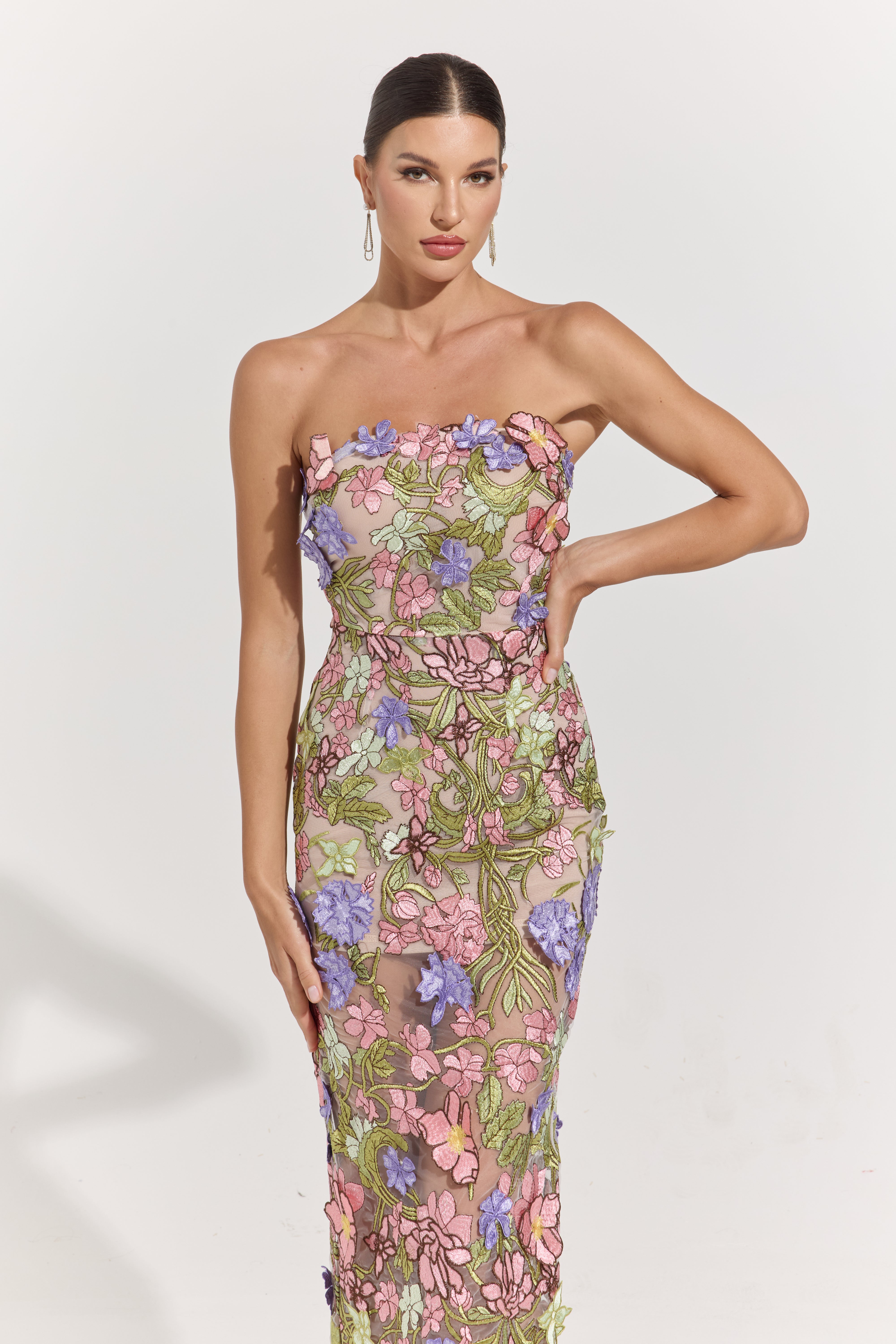 Ava Garden Muse Embroidered Sheer Maxi Dress