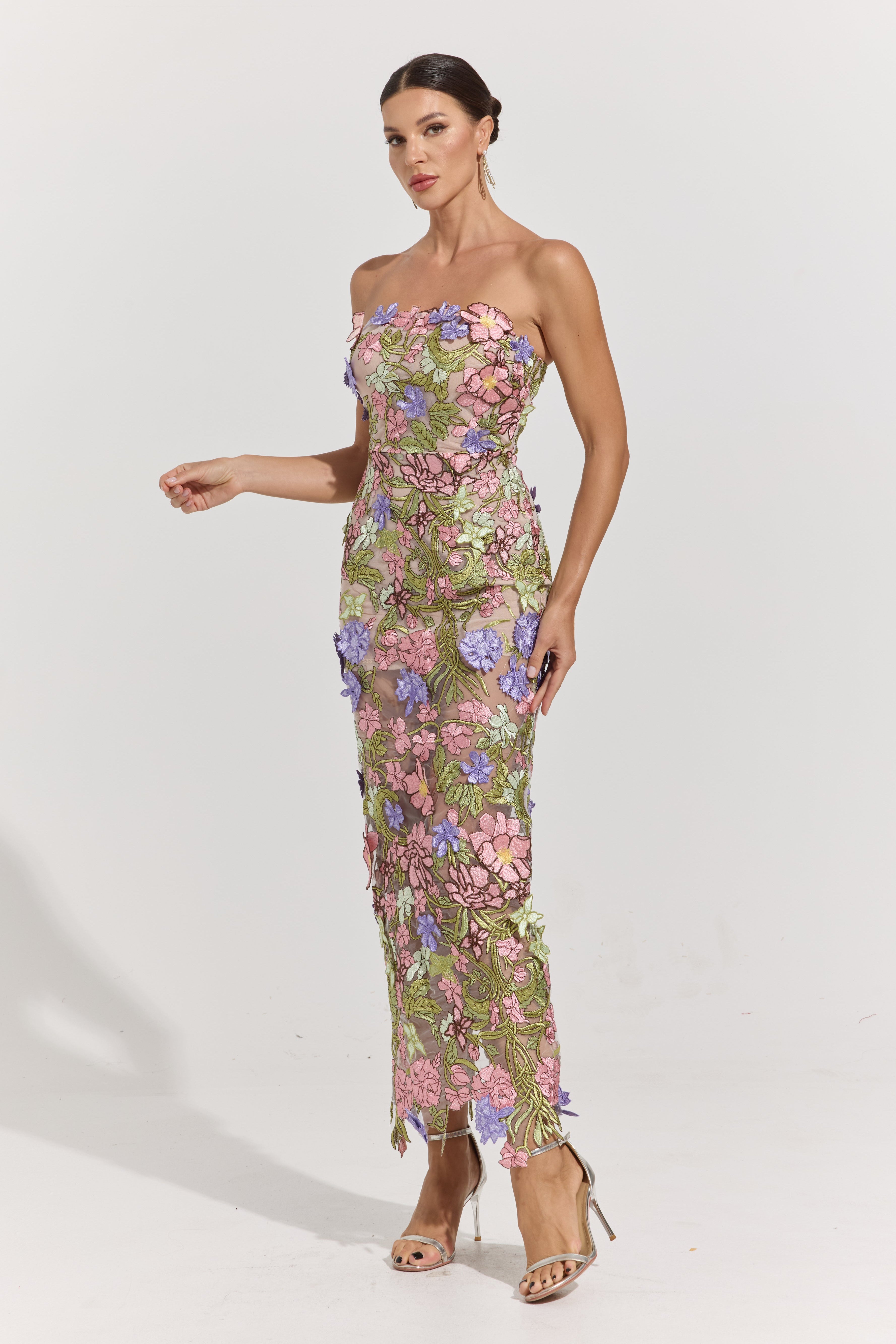 Ava Garden Muse Embroidered Sheer Maxi Dress