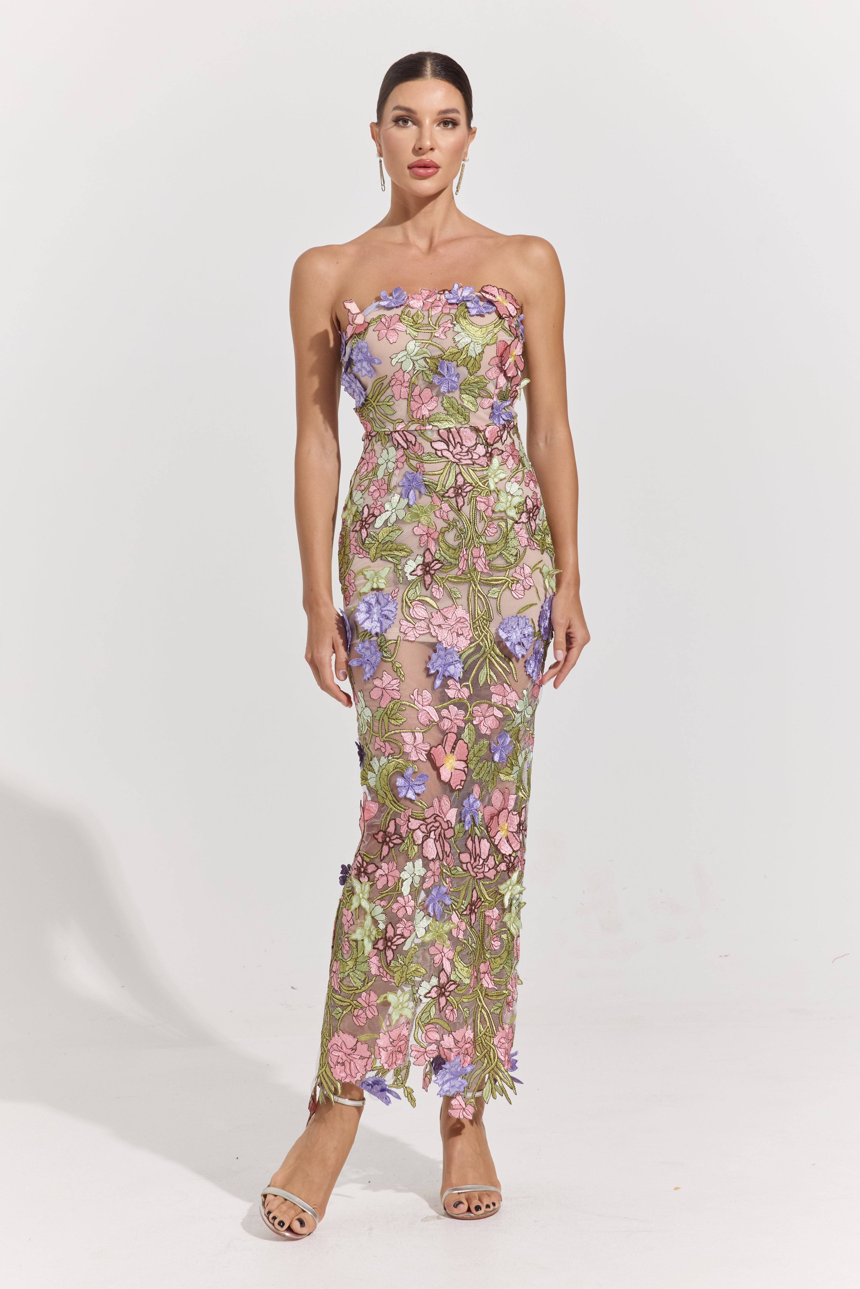 Ava Garden Muse Embroidered Sheer Maxi Dress