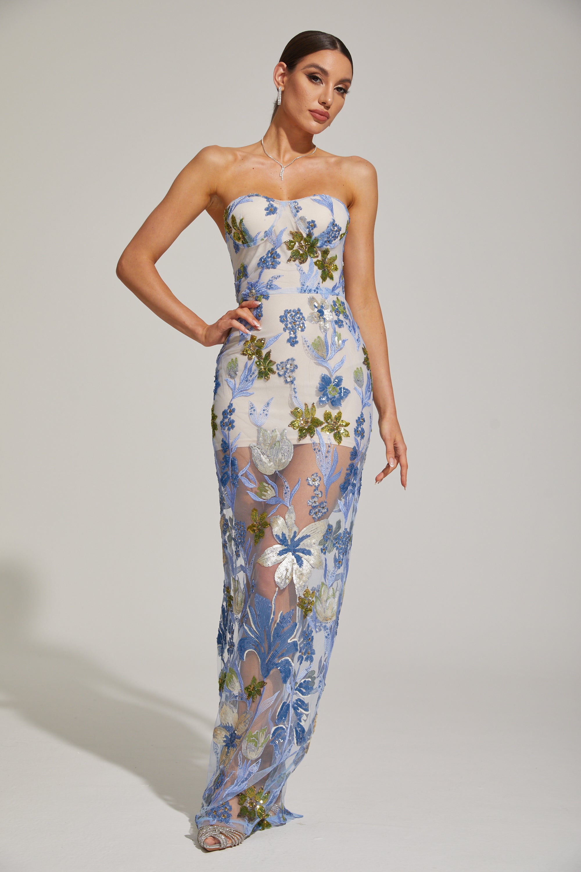 Xandrine Floral Embroidered Strapless Maxi Dress