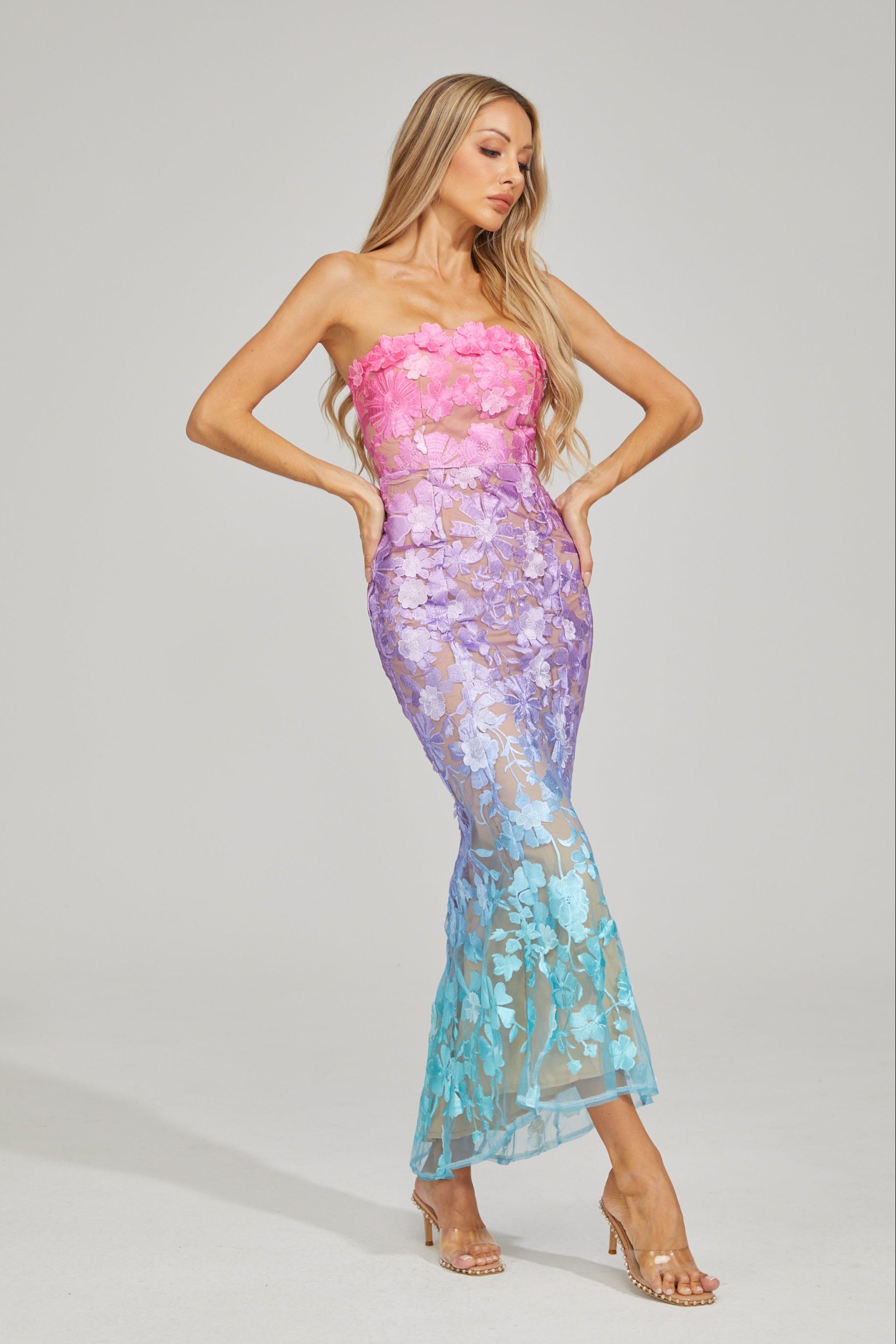 Althea Ombre Floral Maxi Dress