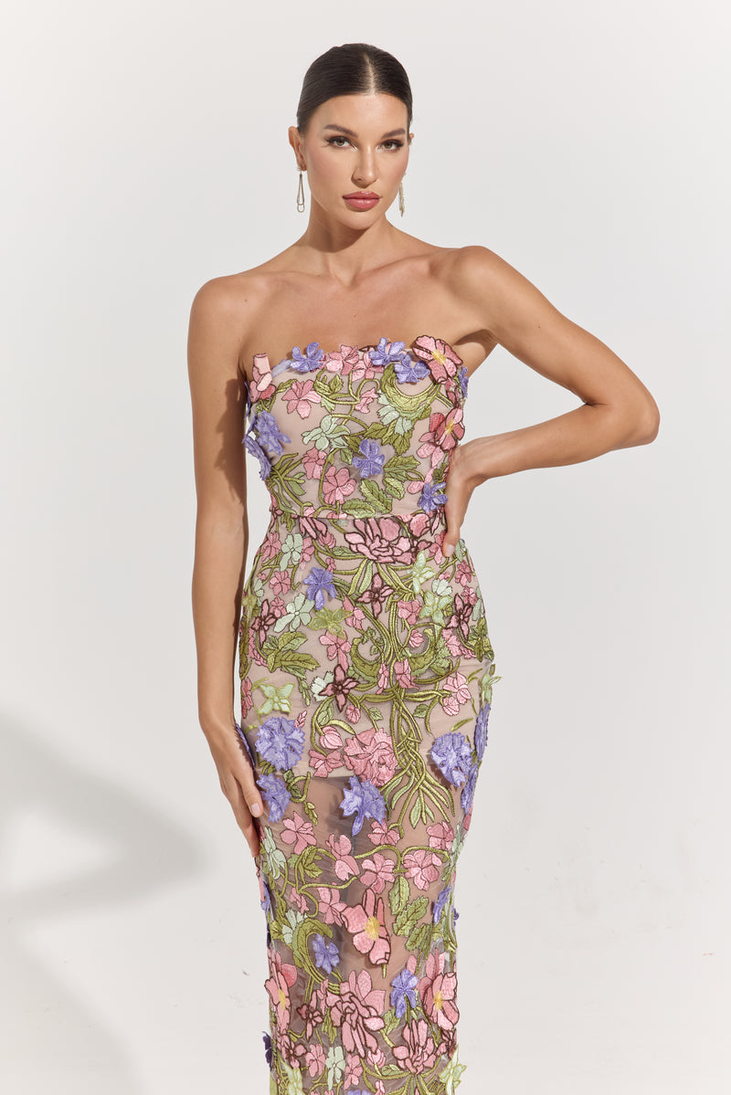Ava Garden Muse Embroidered Sheer Maxi Dress