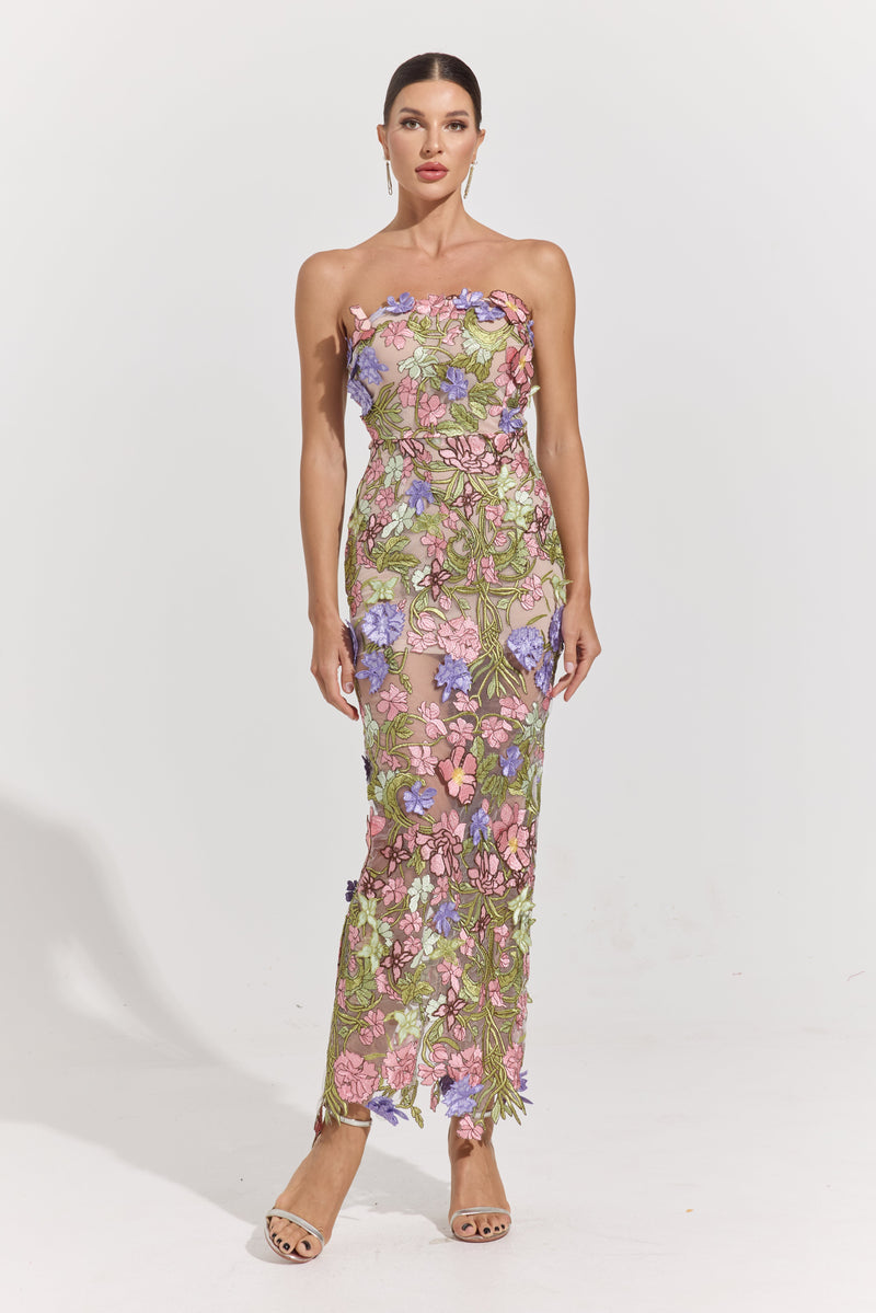 Ava Garden Muse Embroidered Sheer Maxi Dress