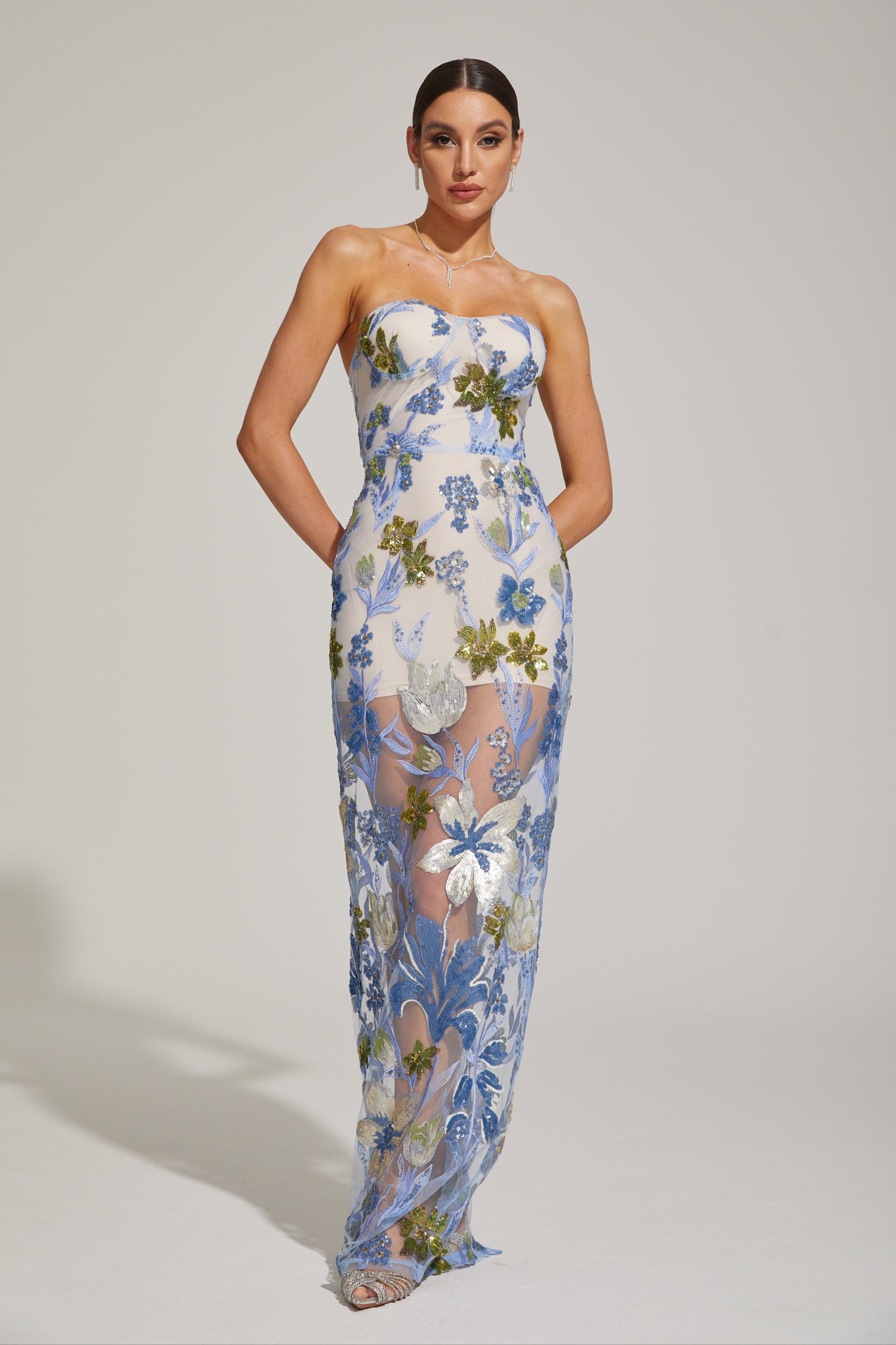Xandrine Floral Embroidered Strapless Maxi Dress