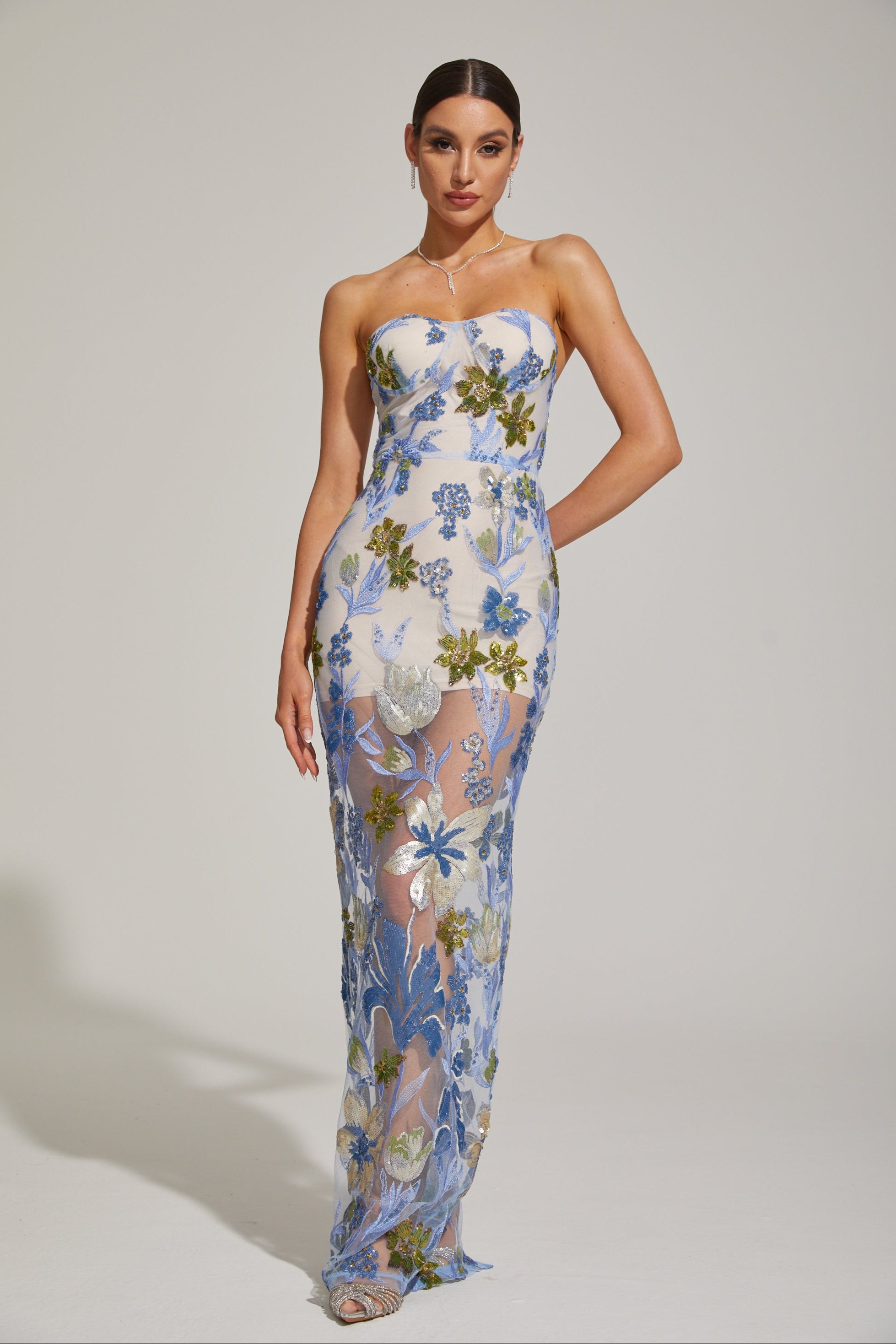 Xandrine Floral Embroidered Strapless Maxi Dress