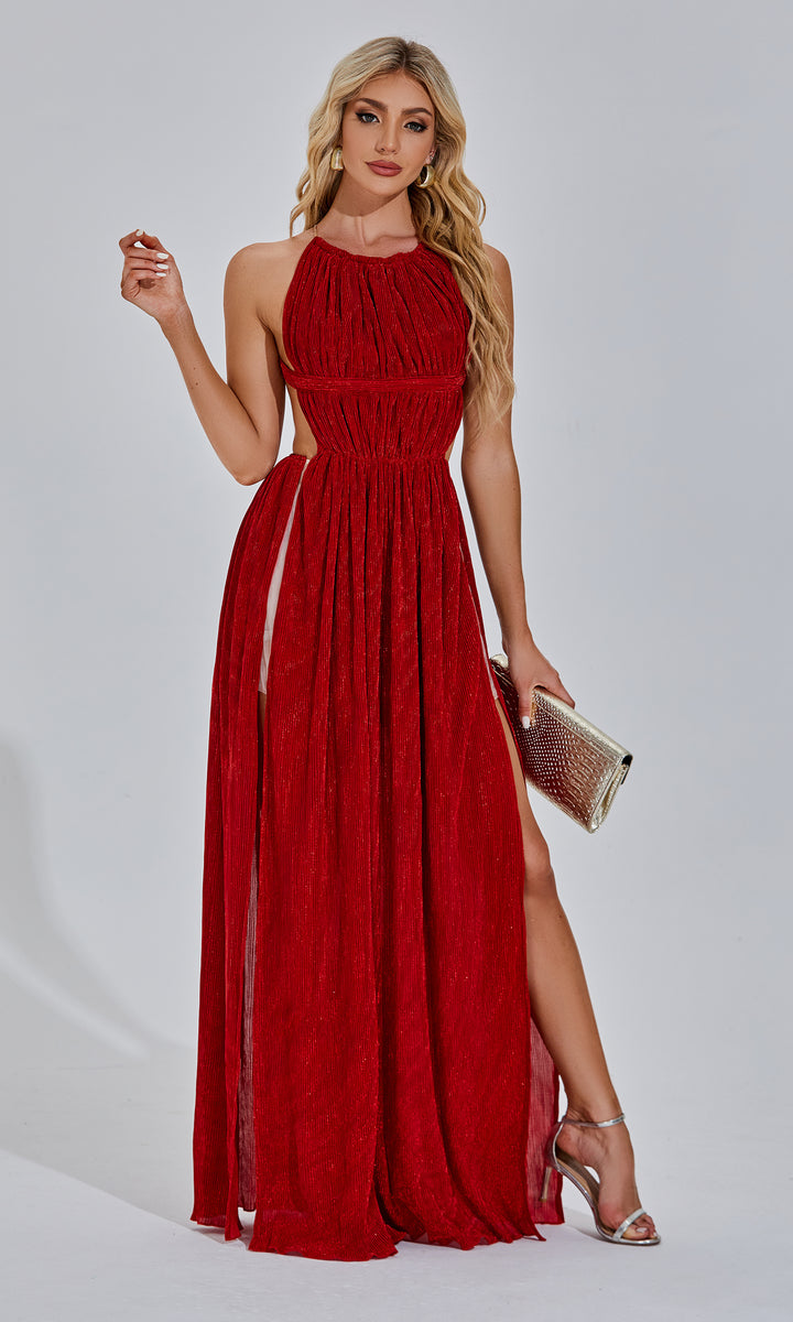 Dizzt red velvet maxi dress